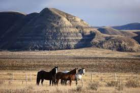 Cbc saskatchewan news june 18, 2021. Reisen Nach Saskatchewan Entdecken Sie Saskatchewan Mit Easyvoyage