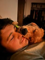 This is 10 month old Winston Collin. He is a Hemophiliac. I joined this  group in the effort to learn about hemophilia because there is pretty much  no information/support groups for dogs