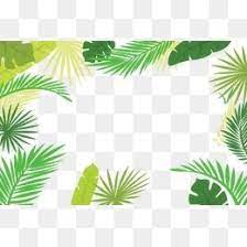 Cartoon Hand Painted Vector Ai Green Leaf Leaves Palm Leaf Frame Background Palm Vector Leaf Vector B Leaf Illustration Flower Illustration Leaves Illustration