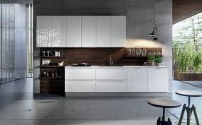 Roll out trays and organizers. Pedini Pdx Italian Modern Kitchen Bath Cabinets Portland Oregon