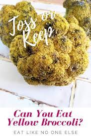 If you decide to cook broccoli and not use it all immediately, it is safe to store it in a fridge for 2 to 3 days. Can You Eat Broccoli That Has Turned Yellow Eat Like No One Else