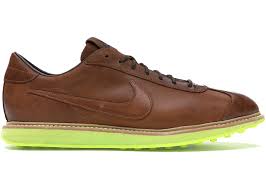 Image result for Dyna Brown 1972 Fleet