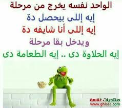 We did not find results for: Ù†ÙƒØª Ø§Ù„Ø¶ÙØ¯Ø¹ 2 Ù†ÙƒØª ØªØ­Ø´ÙŠØ´ Amino Amino