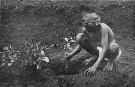 Indentured labour from South Asia (1834 ...