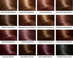 Brown Hair Color Chart Hair Cut Options Brown Hair