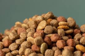 croquetas