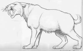 9 Saber Tooth Tiger Coloring Pages Cartoon Drawingde Com Paw Patrol Coloring Sabertooth Coloring Pages