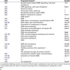 In their sixth or seventh year, many of them may be promoted to junior partner or. Pdf Transfer Rna Recruitment In Mitochondrial Dna