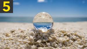 Sanibel island is the most famous, and deservedly so. What Beach Has The Best Seashells In The Los Angeles Area Californiainfo