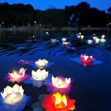 Details About 50pcs Fire Water Lotus Paper Lanterns Chinese Wishing Floating Lanterns 8 Colors Interest Wedding Lanterns Garden Wedding Decorations Floating Lanterns