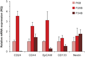 Blood tests for caner markers can predict patient's response to therapy. Plos One Co Expression Of Cancer Stem Cell Markers Corresponds To A Pro Tumorigenic Expression Profile In Pancreatic Adenocarcinoma