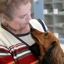 Putnam County opens new animal shelter