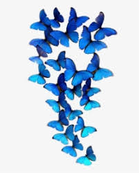 Are you searching for pink butterfly png images or vector? Blue Butterfly Png Images Transparent Blue Butterfly Image Download Pngitem