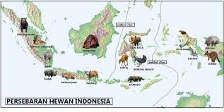 Hewan Langka Di Indonesia Carak Us Gambar Flora Dan Fauna Flora Hewan