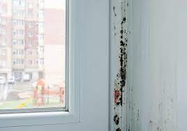 Volledige slaapkamer alles ook apart te koop behalve de grote kast maar liever samen grote kleerkast met schuifdeuren mooie zwarte jeugdkamer. Zwarte Schimmel In De Slaapkamer Bestrijden Smartdry