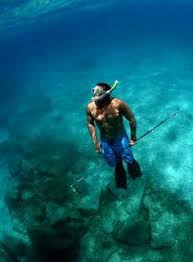Nautilus spearfishing shop 348 sw 57th ave miami, fl. 82 Spearfishing Ideas Spearfishing Diving Underwater