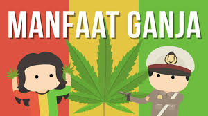 Wow 16 gambar daun ganjah kartun sugriwa gambar from www.pinclipart.com. Apakah Ganja Buruk Bagi Kita Youtube