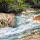 Niagara Frontier Watercolor Society Fall 2025 event image