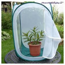 The New Monarch Tower Butterfly Cage Is Tall Enough To Hold Potted Milkweed Plants Click The Link For Mo Milkweed Plant Butterfly Cage Butterfly Garden Plants