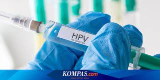 Check spelling or type a new query. Vaksin Hpv Tidak 100 Persen Melindungi Dari Kanker Serviks