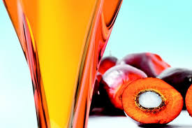 Adalidda Connect Smes Startups And Social Enterprises To Grants And Business Opportunities Worldwide Red Palm Oil Palm Fruit Oil Palm Oil