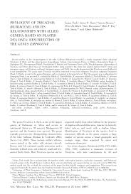 Image result for Tricalysia schliebenii