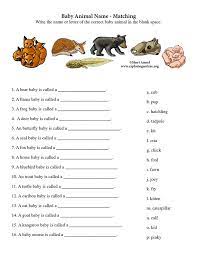 Whether the animals roam on land, fly in the air, or swim in the sea, this list of trivia questions and answers have some questions to strengthen your mind. Pdf Telecharger 5 Year Old Animal Quiz Gratuit Pdf Pdfprof Com