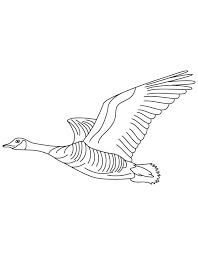 Supercoloring.com is a super fun for all ages: Domestic Goose Flying Coloring Page Coloring Pages Diy Coloring Books Animal Coloring Pages