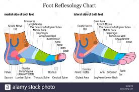 Foot Reflexology Chart Medial Inside And Lateral Outside