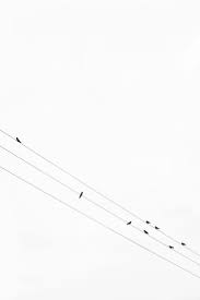 We hope you enjoy our rising collection of aesthetic wallpaper. Shapes In White Minimalist Photography White Aesthetic Black Wallpaper