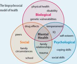 Image result for Sexual Development