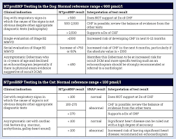 using cardiac biomarkers in dogs and cats veterinary