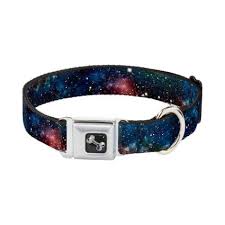 The best dog collars buying guide. 25 Cool Dog Collars Your Ultimate List 2020 Heavy Com