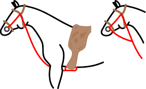 Free Free Horse Bit Svg