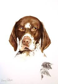 German Shorthaired Pointer With Remarque Dog And Horse