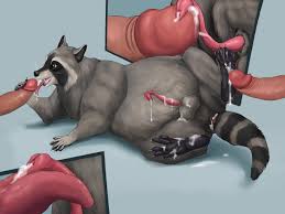 Racoon dick