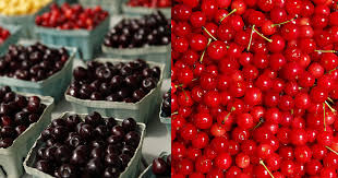 More peanut butter (peanuts), almonds (tree nuts). What Is The Difference Between Tart Cherries And Shoreline Fruit