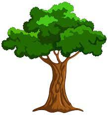 Check our collection of cartoon tree pictures, search and use these free images for powerpoint presentation, reports, websites, pdf, graphic design or any other project you are working on now. Cartoon Tree Png Clip Art Best Web Clipart
