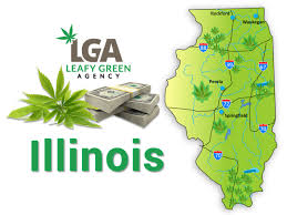You can get medical weed if you: Legal Guide To Doing Business In Illinois Medical Marijuana Industry Leafy Green Agency