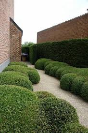Mooi Zijpad Met Buxuswolken Boxwood Met Afbeeldingen Tuin Tuin Hagen Groene Tuin