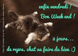 Résultat de recherche d'images pour "bon week end humour"