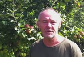 1.6 how to plant an apple tree or a fruit tree? Thinning Apples How When Why To Thin Apples