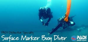 We did not find results for: Dsmb Delayed Surface Marker Buoy Course Sincityscuba