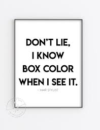 Don T Lie I Know Box Color When I See It Salon Quote Etsy In 2020 Salon Quotes Stylist Quotes Hairstylist Quotes