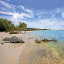 Aruba is home to some of the most beautiful beaches in the world. Aruba S Best Beaches Palm Beach Eagle Beach And More Moon Travel Guides