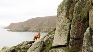 Blessed with the southwest's wildest coastline and most breathtakingly beautiful beaches, this proudly independent peninsula has always marched to its own tune. A Long Weekend In Cornwall England Pets Included Conde Nast Traveler