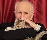 Komet ya da 'Keşke futbolcu olsaydım'