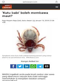 Come in, learn the word translation babi and add them to your flashcards. Kutu Babi Boleh Membawa Maut Pdf