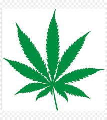 Drawing Of Family Png Download 875 1000 Free Transparent Cannabis Png Download Cleanpng Kisspng