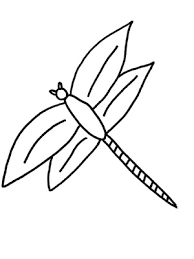 Ausmalbild Insekt Zum Ausdrucken